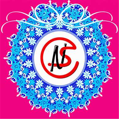 NS VIDYALAY